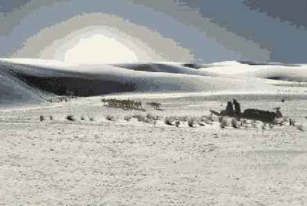 Перемещение выделенной области в другой документ